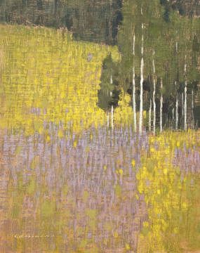 DG15-07 Aspen and Wildflower Patterns, 10x8 OLP $920 F WEB