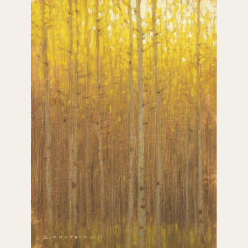 DG15-17 Yellow Leaves, Sky, and Aspen Trunks, Oil on Linen Panel, 8x6 inches $550