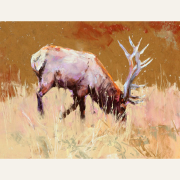 CT16-02 Grazing Elk 6x8 pastel $850 WEB