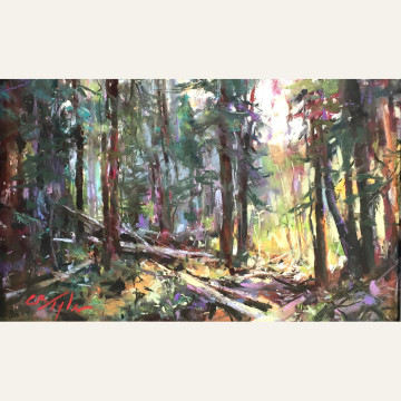 CT16-06 Hiking Trails 7x10 pastel $950 WEB