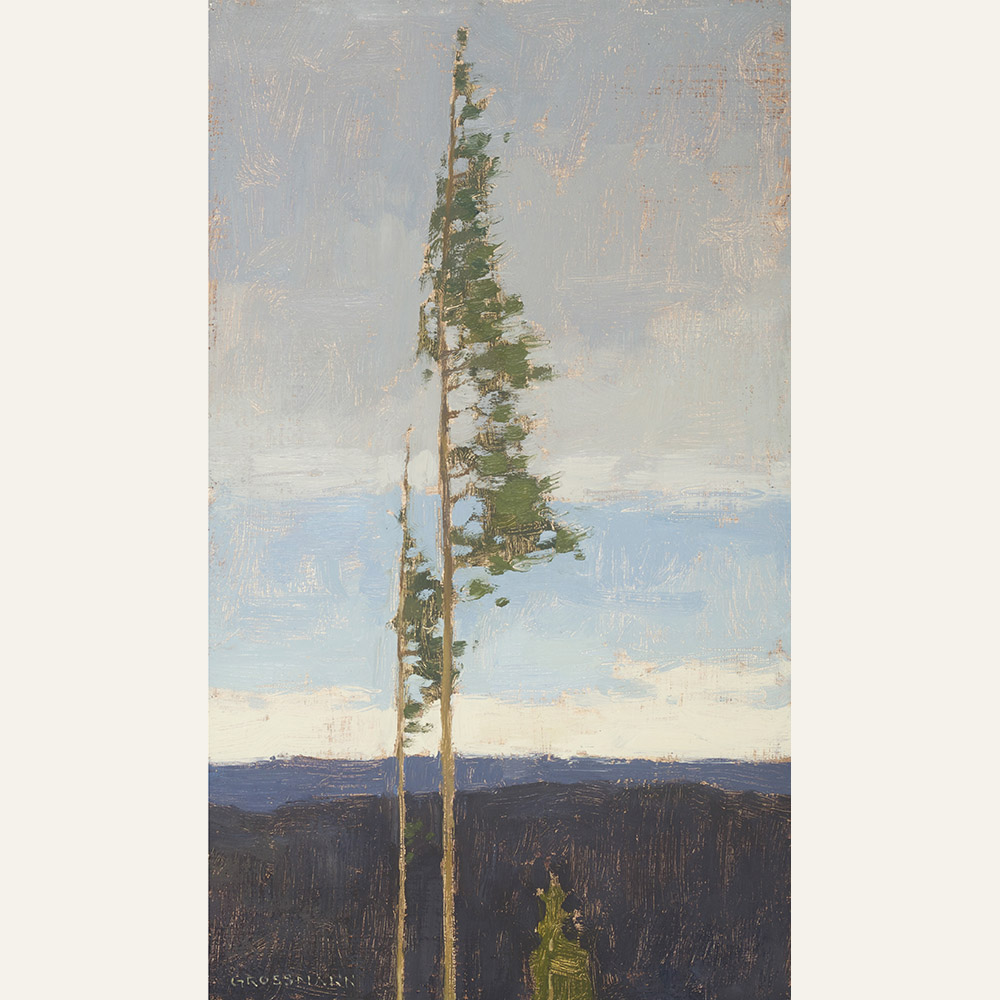 Tall Trees and Coming Storm, 12x7 inches, oil on linen panel WEWB