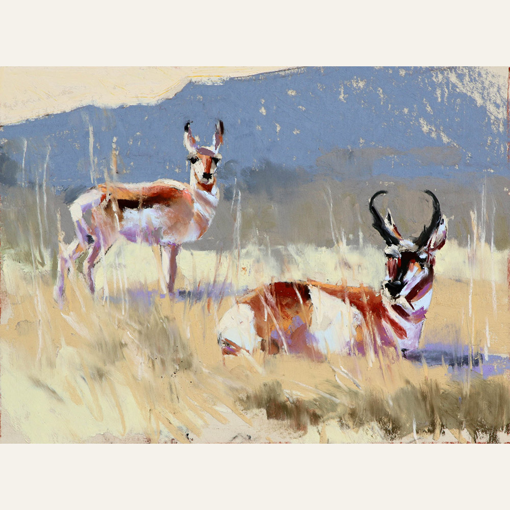 Antelope Easy Afternoon 6x8, $850 copy
