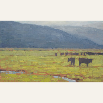 DG19-07 Morning Cows Near Crested Butte 7x12 oil 1450 F WEB