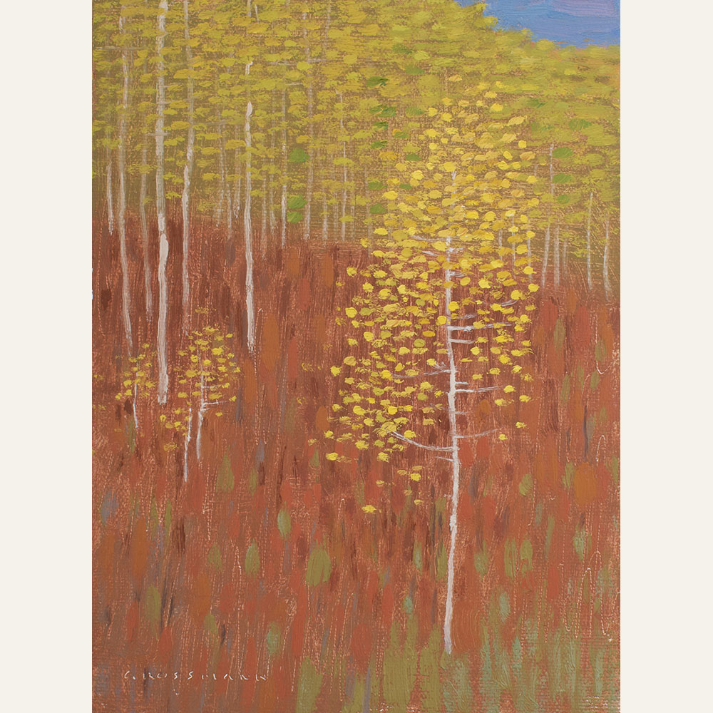 DG19-23 Aspen Saplings in Autumn Morning Colors 8x6 oil 950 F WEB