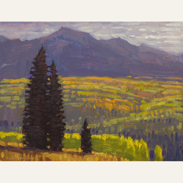 DG19- Kebler Pass Groves in Afternoon Light 6x8 oil 950 F WEB