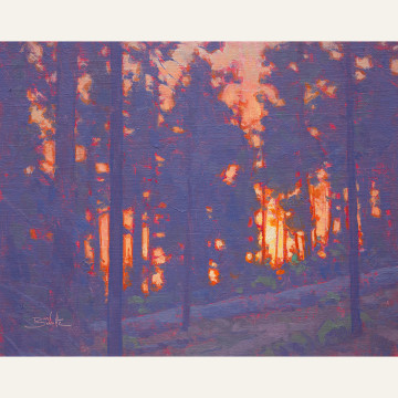 DSH19-01 Forest Sunset 11x14 oil 1400 F WEB