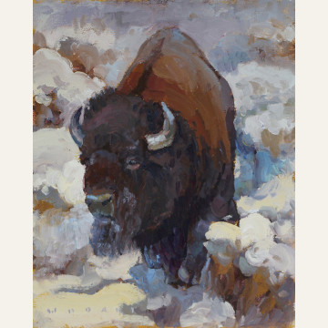JW19-11 Winter Bull (Buffalo) 10x8 oil 1000 F WEB