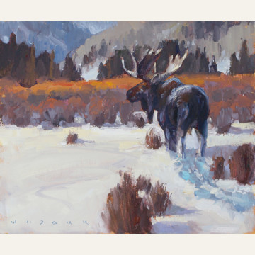 JW19-12 Winter Bull (Moose) 10x12 oil 1200 F WEB
