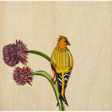 KH19-12 The Golden Finch on Thistle 6x6 watercolor and ink 550 F WEB