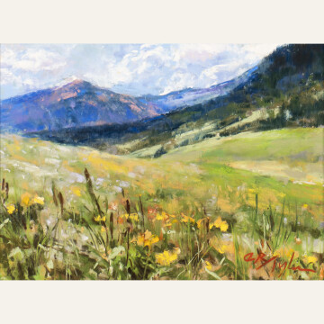CT21-01 Mountain Meadows 6x8 pastel 850 F WEB