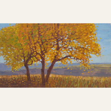 DG21-04 Cottonwoods with Changing Autumn Leaves 7x12 oil 1450 F WEB