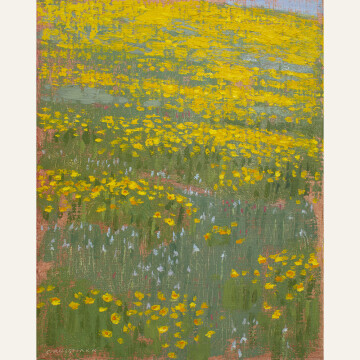 Field of Yellow Flowers with Wild Irises, 10x8 inches, oil on linen panelw