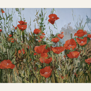 DA22-09 Flanders Poppies in a Field 24x30 acrylic 4000 F WEB