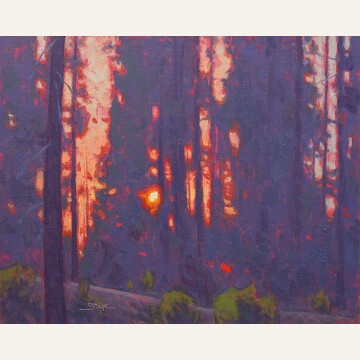 DSH22-02 Forest Glow 16x20 oil 2600 F WEB