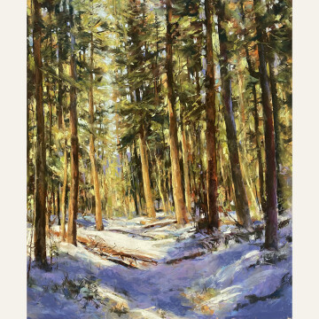 CT22-15 Winter Forest Hike 24x20 pastel 5400 F WEB