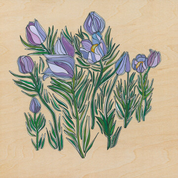 KH22-04 Pasque Flowers 8x8 wc:ink 950 F WEB