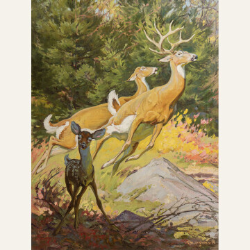 REL23-01 Buck, Doe and Fawn 32 x 24 oil 35,000 F WEB