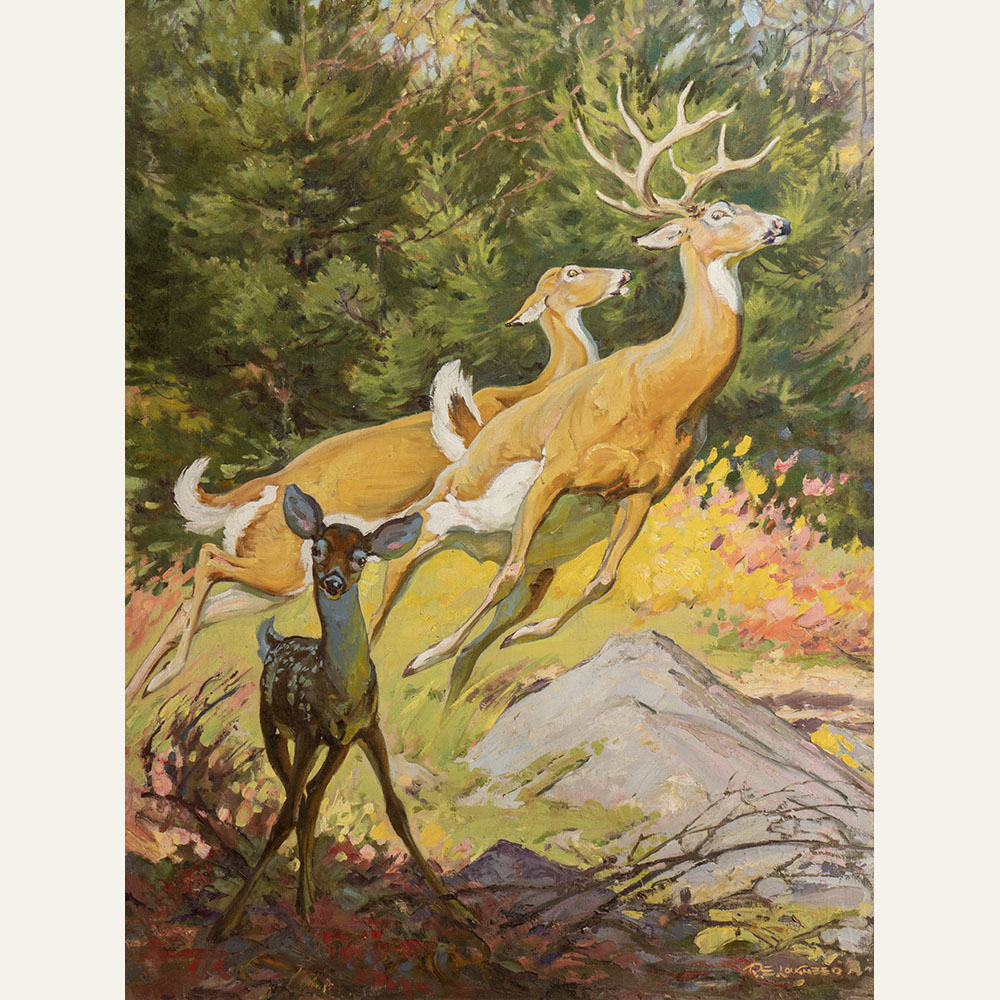 REL23-01 Buck, Doe and Fawn 32 x 24 oil 35,000 F WEB