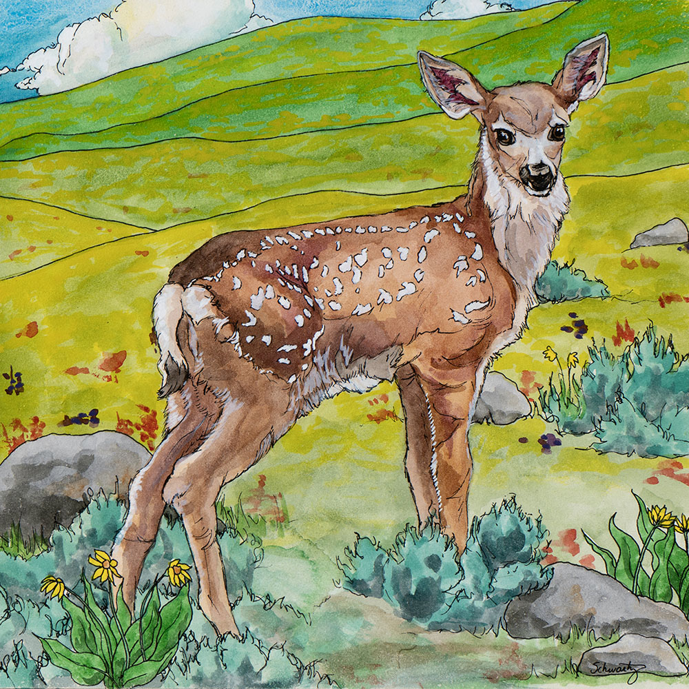 TS23-09 Flora and Fawn-a 8x8 watercolor, ink gouache 800 F WEB