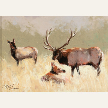 CT24-02 Elk Meadow 6x8 pastel 900 F WEB