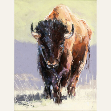 CT24-05 Bull Bison 8x6 pastel 900 F WEB SOLD