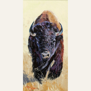 CT24-10 Bison Bull Advance 16x8 pastel 1400 F WEB