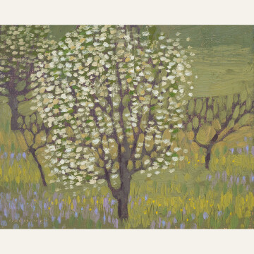 DG24-01 Small Orchard in Spring 8x10 oil 2400 F WEB